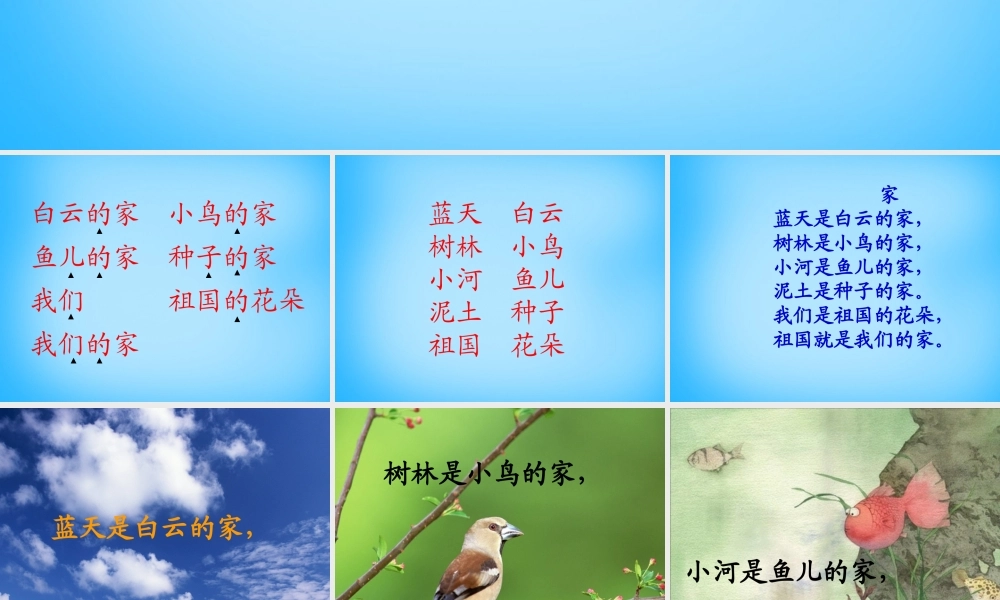 一年级语文上册《家》课件5 苏教版-苏教版小学一年级上册语文课件