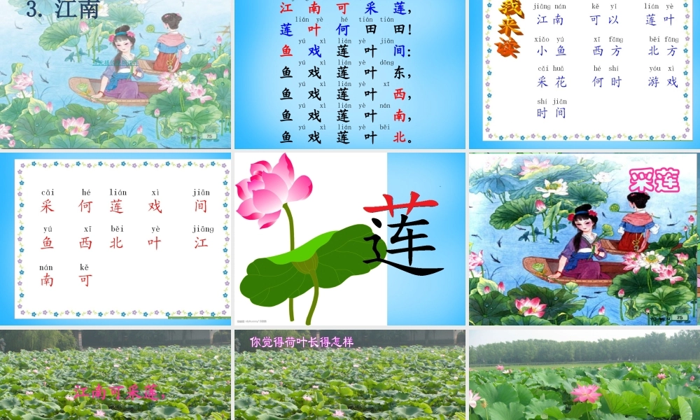一年级语文上册《江南》课件1 苏教版-苏教版小学一年级上册语文课件