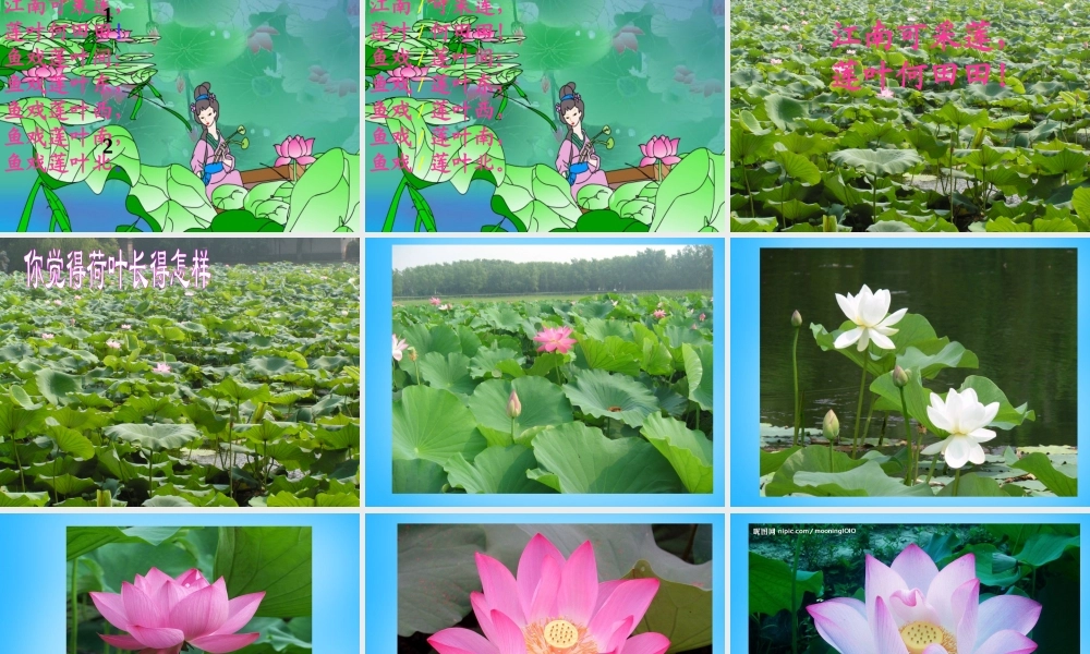 一年级语文上册《江南》课件4 苏教版-苏教版小学一年级上册语文课件