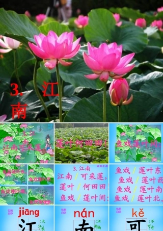一年级语文上册《江南》课件6 苏教版-苏教版小学一年级上册语文课件
