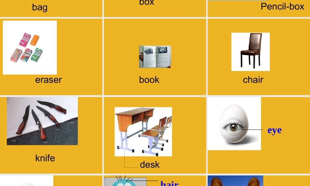 一年级英语上册 Unit 7 My body课件 深港版