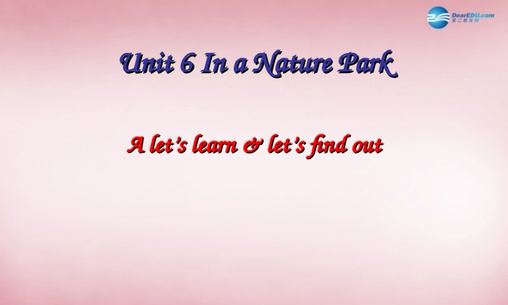 五年级英语上册 Unit6 In a Nature Park课件2 人教PEP