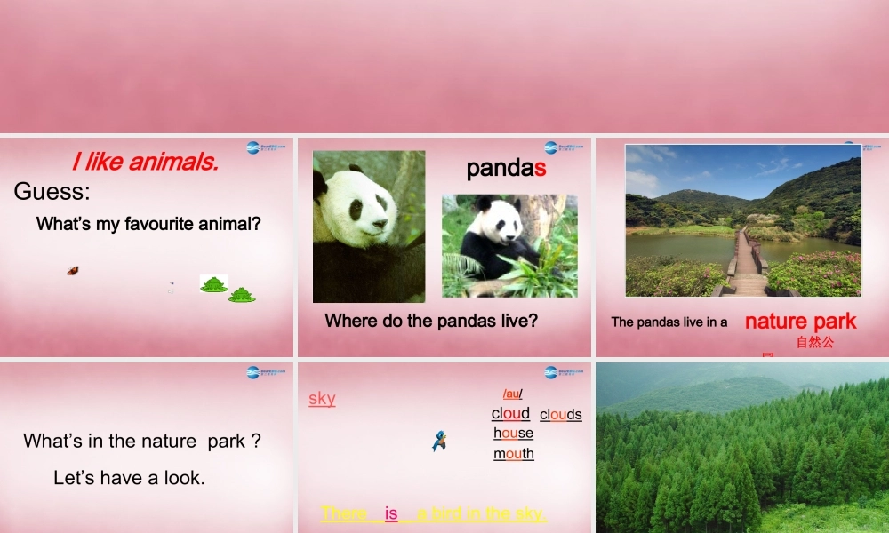 五年级英语上册 Unit6 In a Nature Park课件2 人教PEP