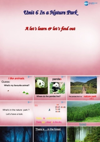 五年级英语上册 Unit6 In a Nature Park课件2 人教PEP