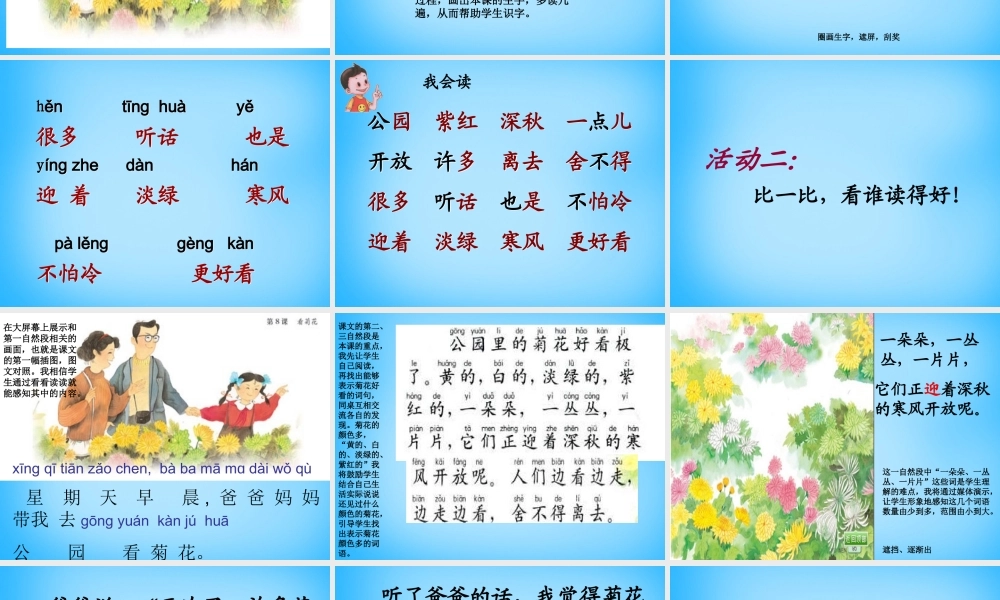 一年级语文上册《看菊花》课件2 苏教版-苏教版小学一年级上册语文课件