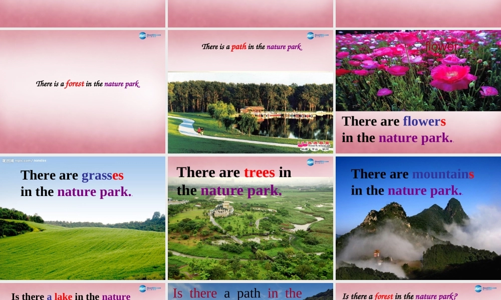 五年级英语上册 Unit6 In a Nature Park课件3 人教PEP