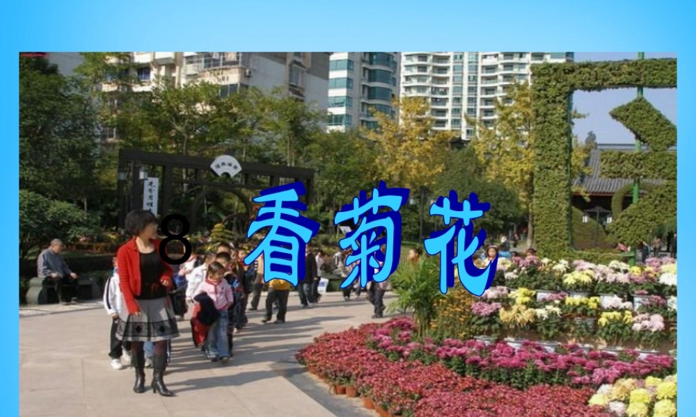 一年级语文上册《看菊花》课件3 苏教版-苏教版小学一年级上册语文课件