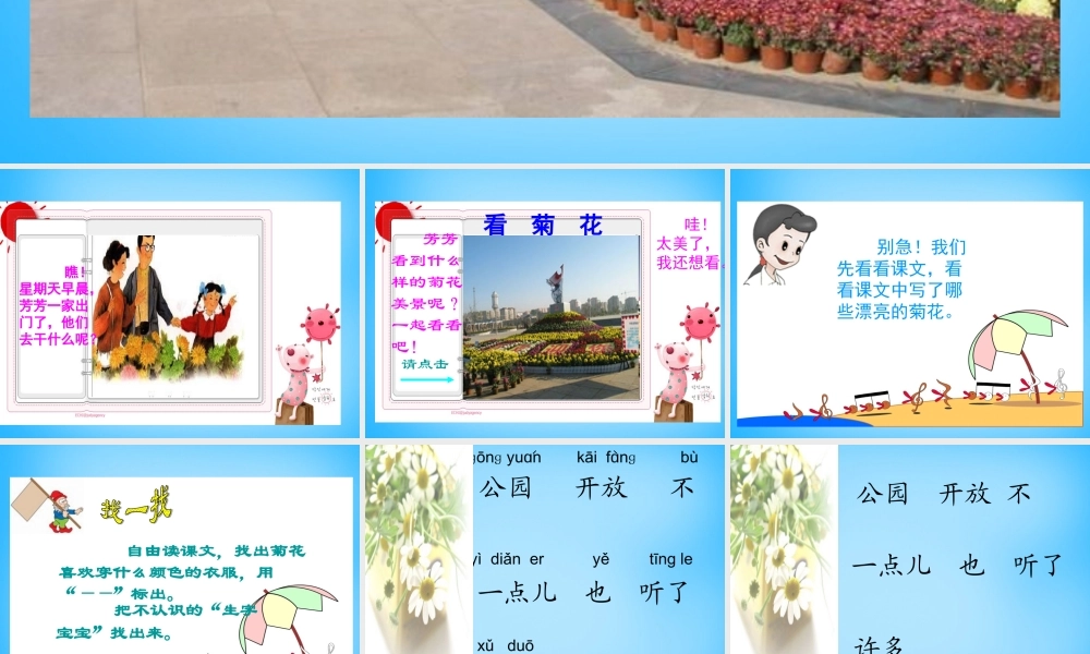 一年级语文上册《看菊花》课件3 苏教版-苏教版小学一年级上册语文课件