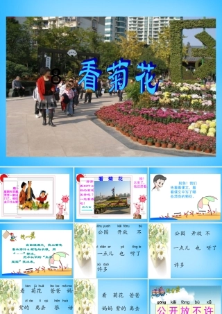 一年级语文上册《看菊花》课件3 苏教版-苏教版小学一年级上册语文课件