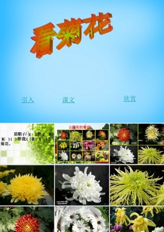 一年级语文上册《看菊花》课件4 苏教版-苏教版小学一年级上册语文课件