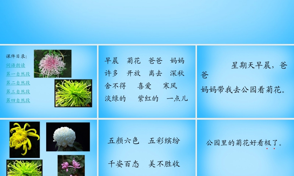 一年级语文上册《看菊花》课件5 苏教版-苏教版小学一年级上册语文课件