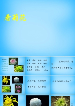 一年级语文上册《看菊花》课件5 苏教版-苏教版小学一年级上册语文课件