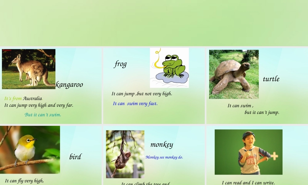 五年级英语上册《Module 2 Unit 4 What Can They Do》课件2 广州版广州版小学五年级上册英语课件