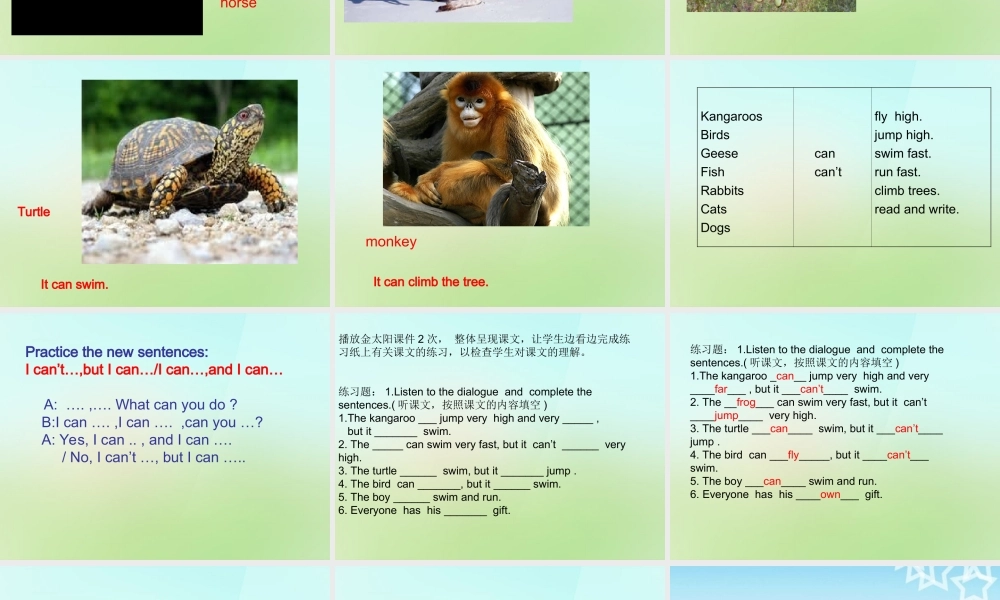 五年级英语上册《Module 2 Unit 4 What Can They Do》课件3 广州版广州版小学五年级上册英语课件