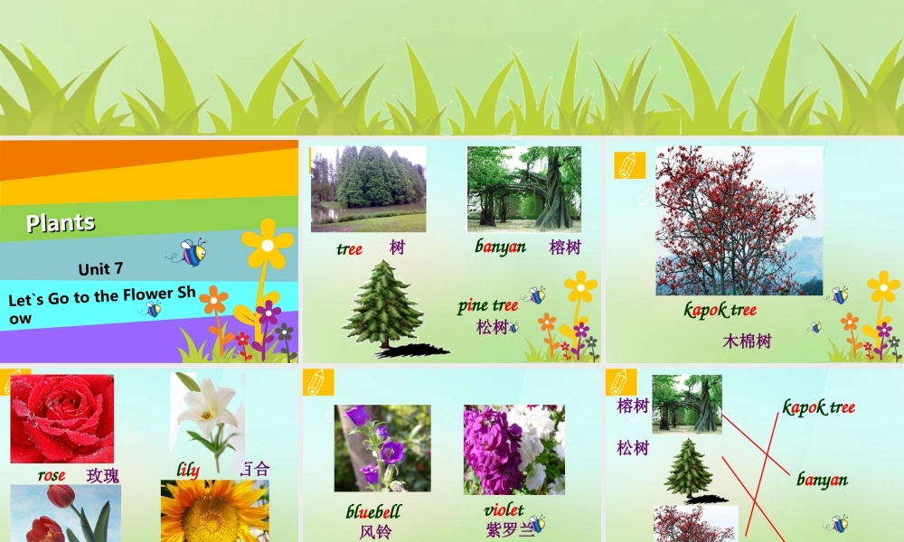 五年级英语上册《Module 3 Unit 7 Let’s Go to the Flower Show》课件1 广州版广州版小学五年级上册英语课件