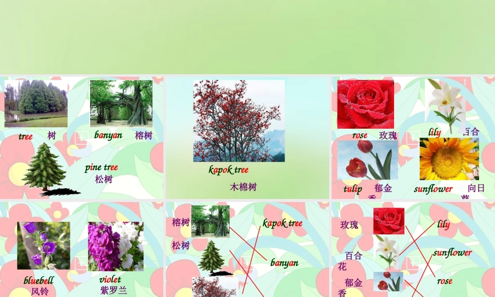 五年级英语上册《Module 3 Unit 7 Let’s Go to the Flower Show》课件3 广州版广州版小学五年级上册英语课件