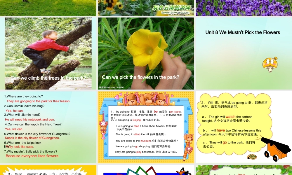 五年级英语上册《Module 3 Unit 8 We Mustn’t Pick the Flowers》课件1 广州版广州版小学五年级上册英语课件