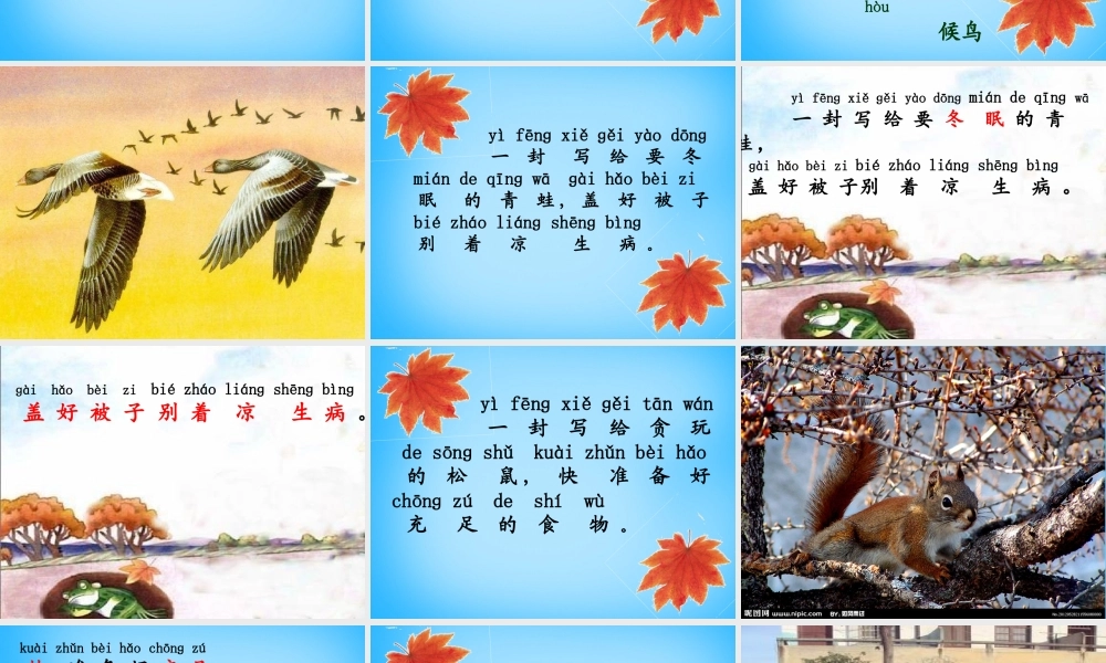 一年级语文上册《秋姑娘的信》课件1 苏教版-苏教版小学一年级上册语文课件