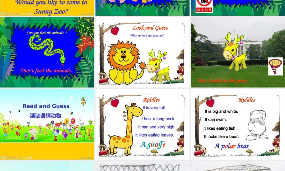 五年级英语上册《Module 5 Unit 13 They Are Going to the Zoo》课件1 广州版广州版小学五年级上册英语课件