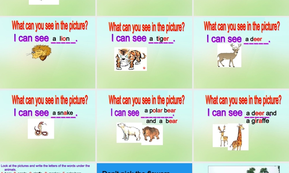 五年级英语上册《Module 5 Unit 13 They Are Going to the Zoo》课件2 广州版广州版小学五年级上册英语课件