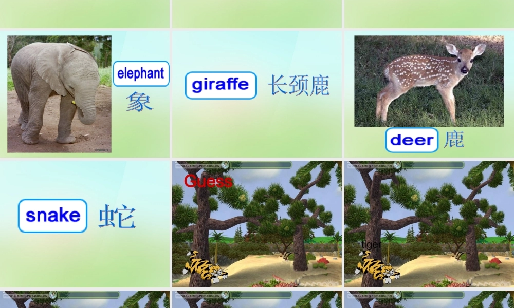 五年级英语上册《Module 5 Unit 13 They Are Going to the Zoo》课件3 广州版广州版小学五年级上册英语课件