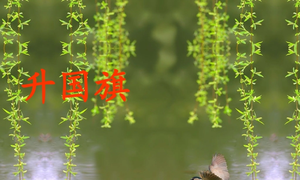 一年级语文上册《升国旗》课件4 苏教版-苏教版小学一年级上册语文课件