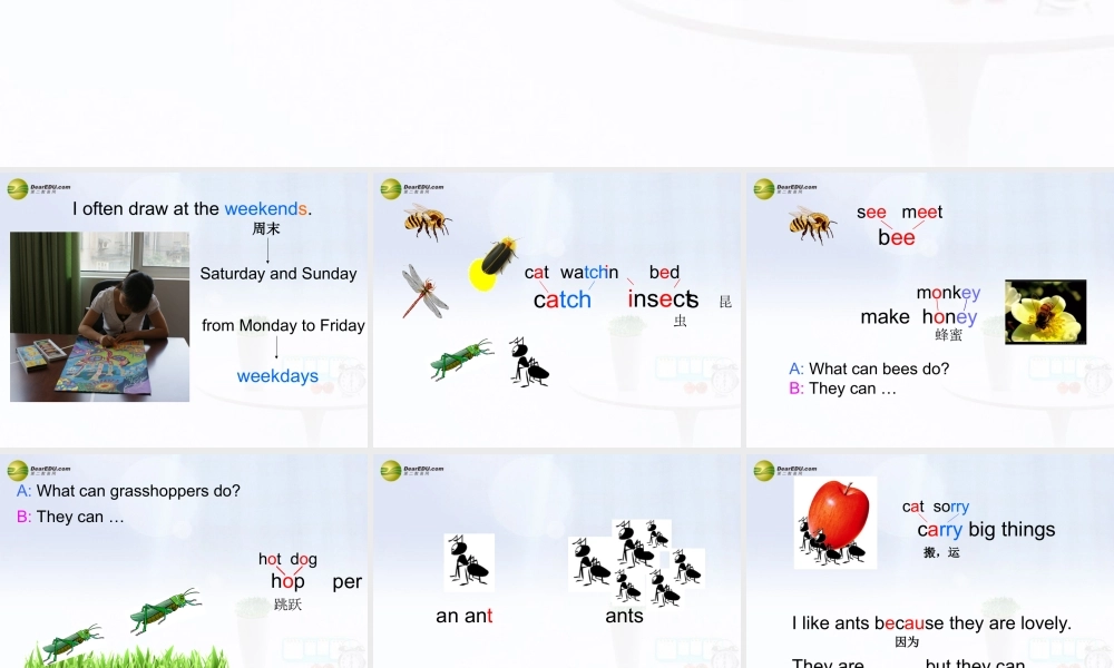 五年级英语下册 Unit8 At the weekends课件 苏教牛津版