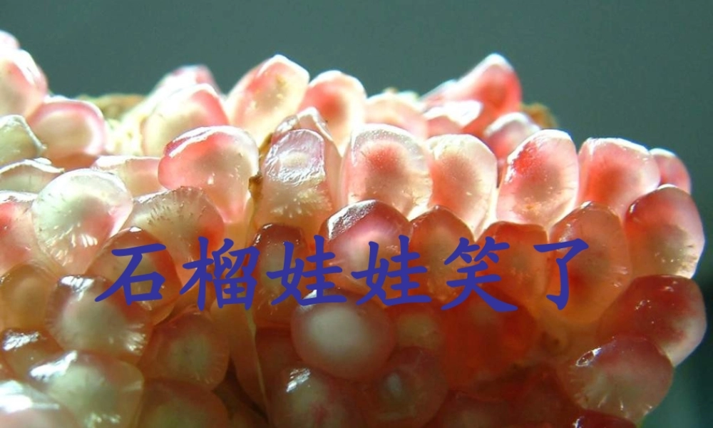 一年级语文上册《石榴娃娃笑了》课件 教科版-教科版小学一年级上册语文课件