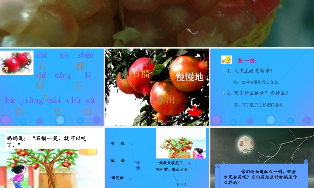 一年级语文上册《石榴娃娃笑了》课件 教科版-教科版小学一年级上册语文课件