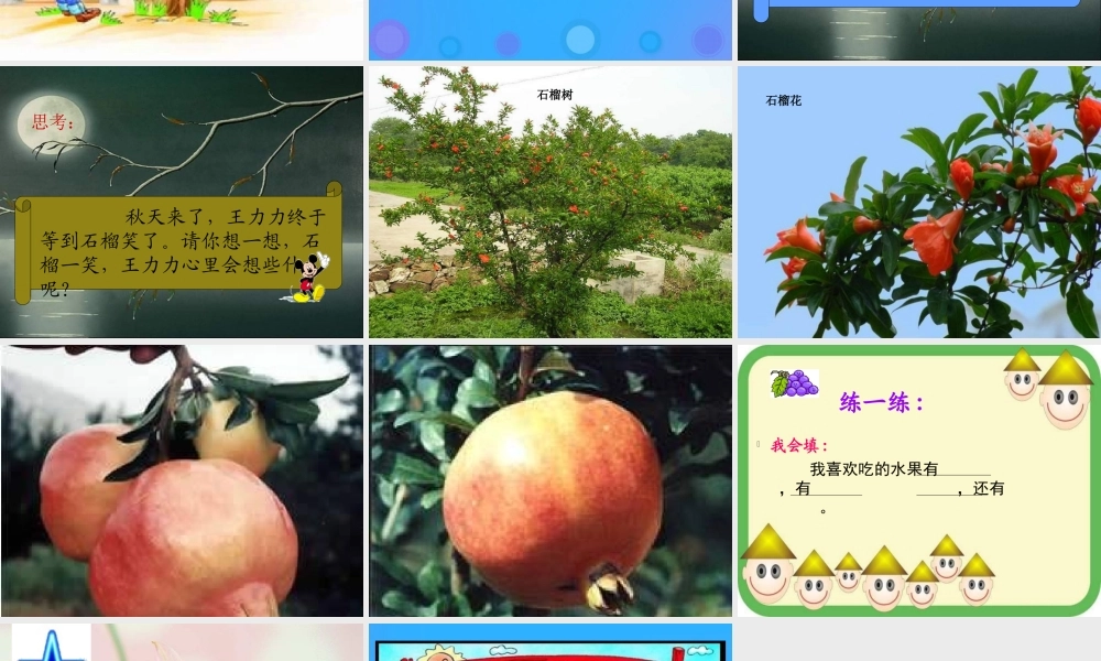 一年级语文上册《石榴娃娃笑了》课件 教科版-教科版小学一年级上册语文课件