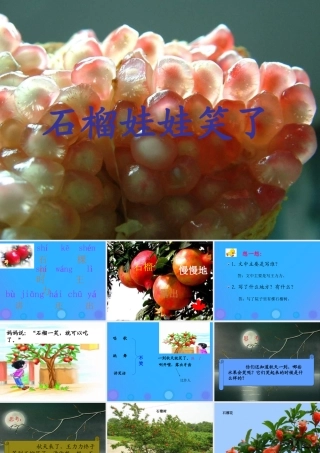 一年级语文上册《石榴娃娃笑了》课件 教科版-教科版小学一年级上册语文课件
