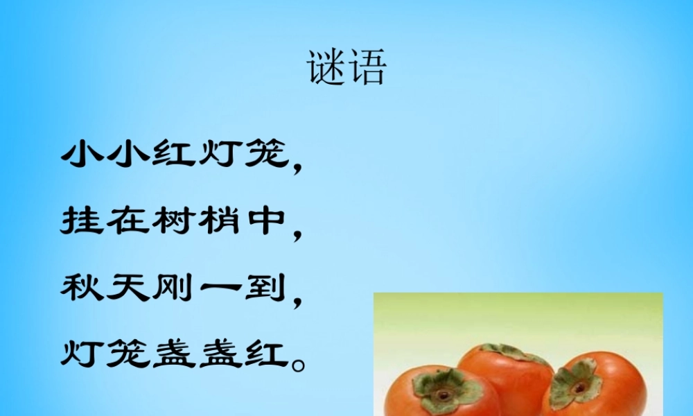 一年级语文上册《柿子》课件2 语文A版-语文A版小学一年级上册语文课件