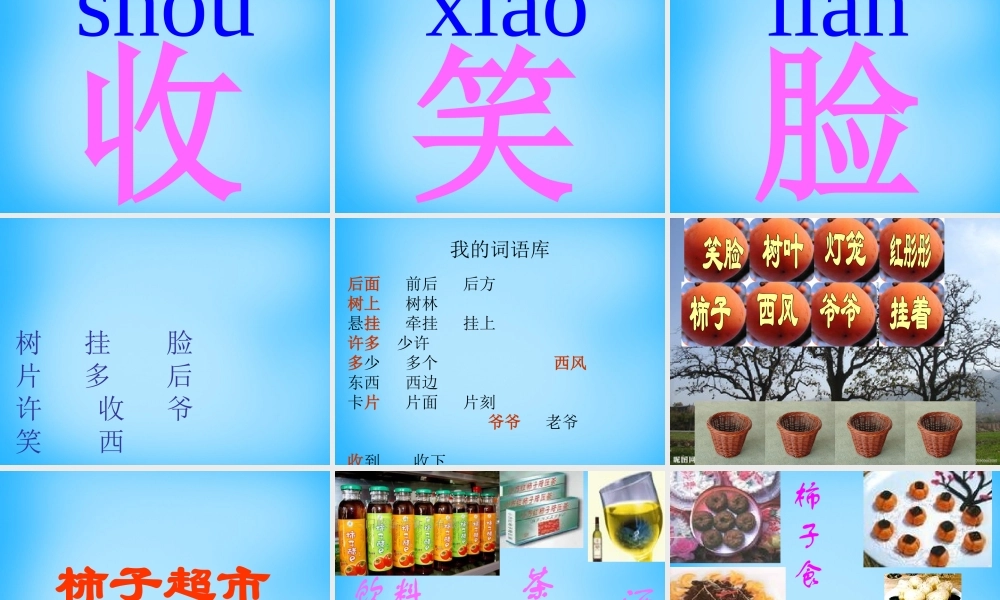 一年级语文上册《柿子》课件2 语文A版-语文A版小学一年级上册语文课件