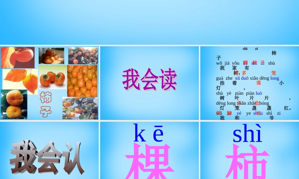 一年级语文上册《柿子》课件3 语文A版-语文A版小学一年级上册语文课件