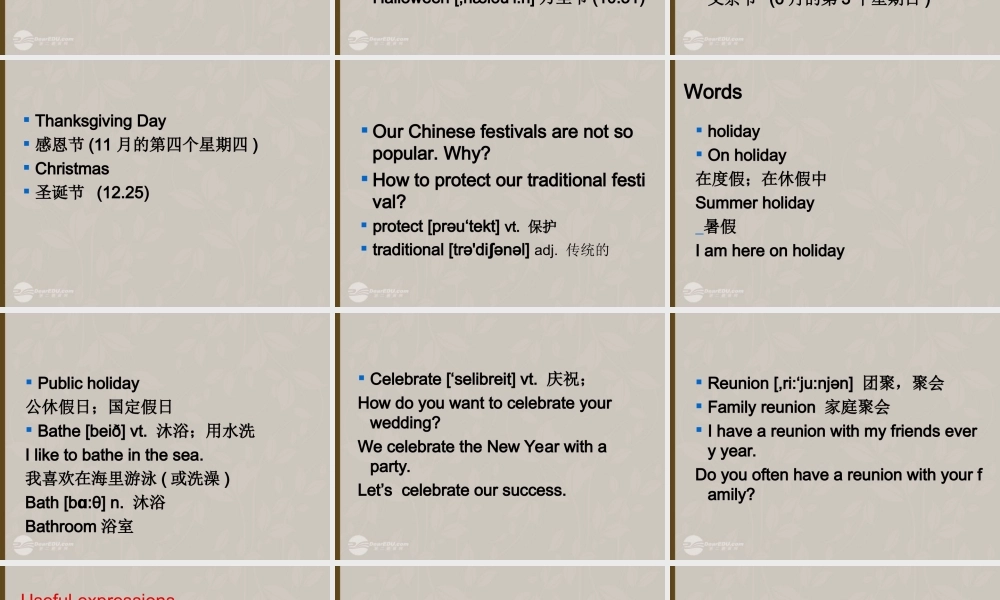 小升初英语知识点专项复习 专题六 交际用语 节日课件