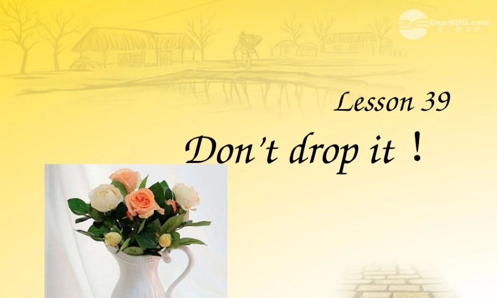 小升初英语知识点专项复习 专题五 句子 祈使句课件