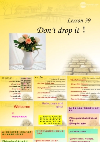 小升初英语知识点专项复习 专题五 句子 祈使句课件