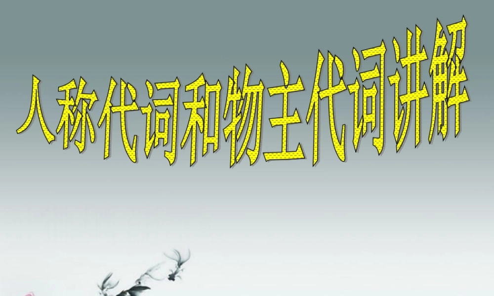小升初英语知识点专项复习专题二 词类 代词 人称代词和物主代词课件