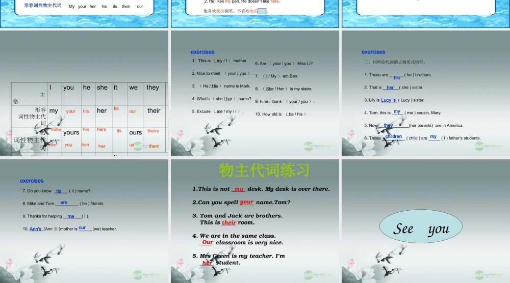 小升初英语知识点专项复习专题二 词类 代词 人称代词和物主代词课件