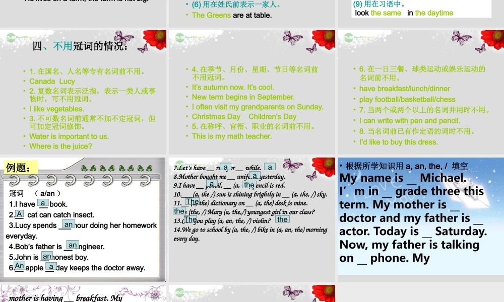 小升初英语知识点专项复习专题二 词类 冠词课件