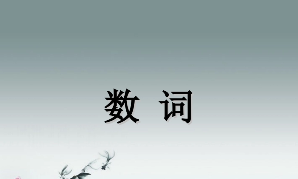 小升初英语知识点专项复习专题二 词类 数词课件