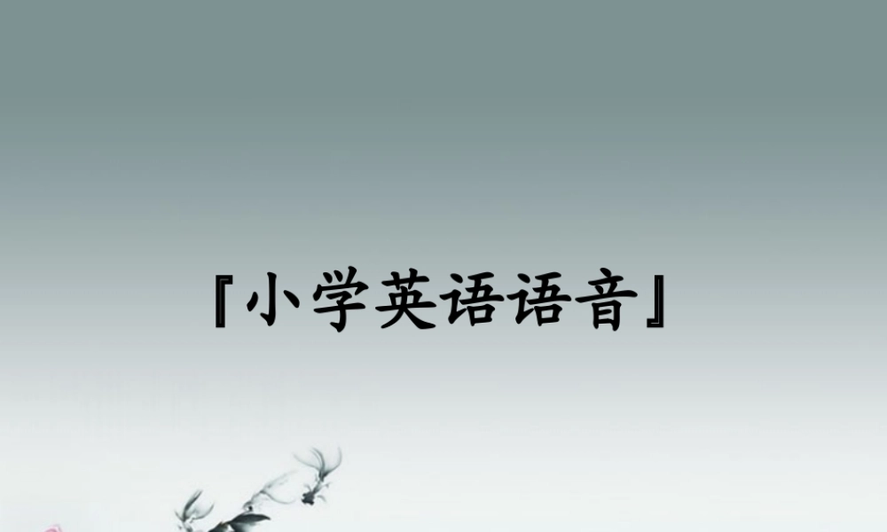 小升初英语知识点专项复习专题一 语音课件