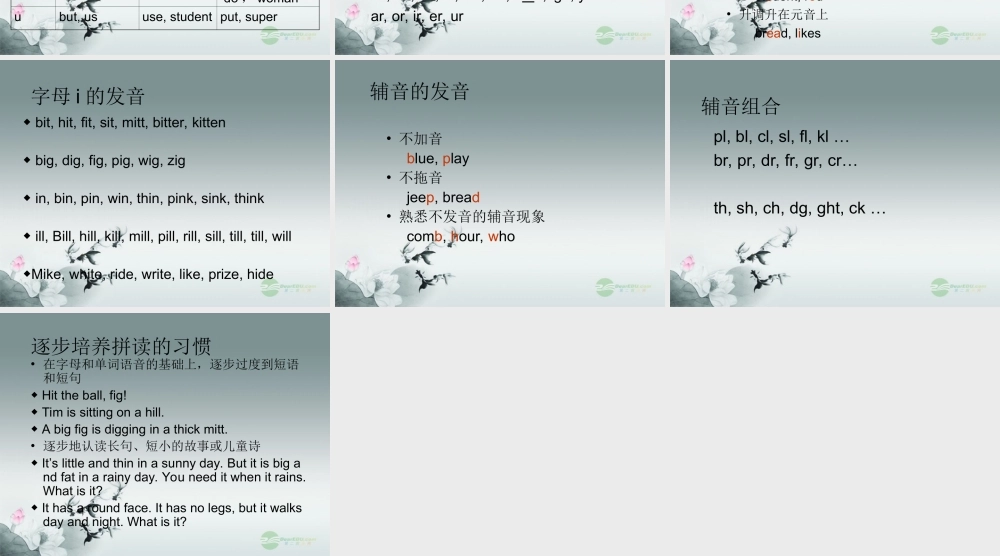 小升初英语知识点专项复习专题一 语音课件