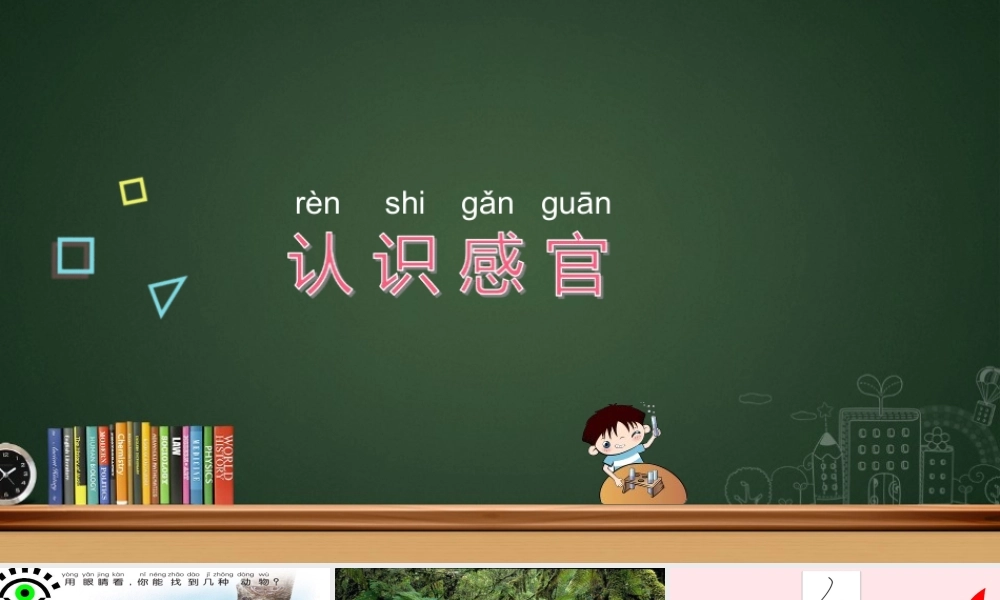 一年级科学上册 第4课《认识感官》课件（2） 苏教版-苏教版小学一年级上册自然科学课件