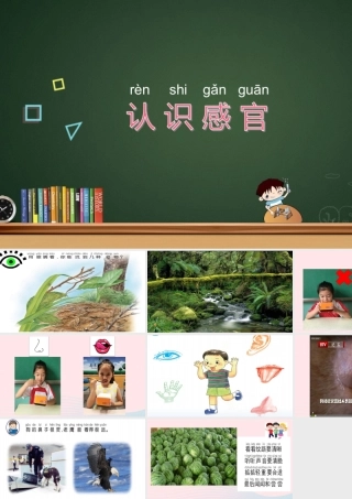 一年级科学上册 第4课《认识感官》课件（2） 苏教版-苏教版小学一年级上册自然科学课件