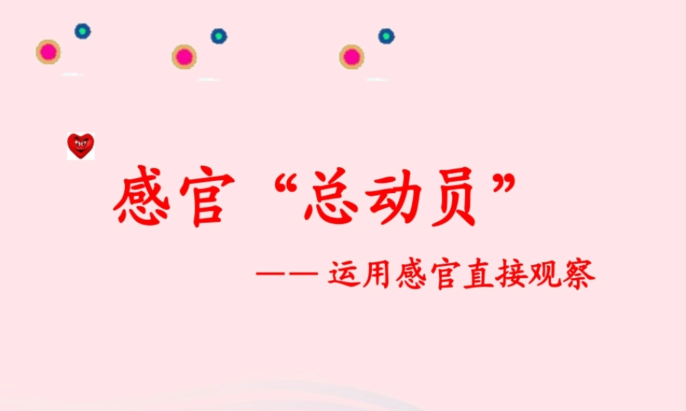 一年级科学上册 第5课《感官总动员》课件（1） 苏教版-苏教版小学一年级上册自然科学课件