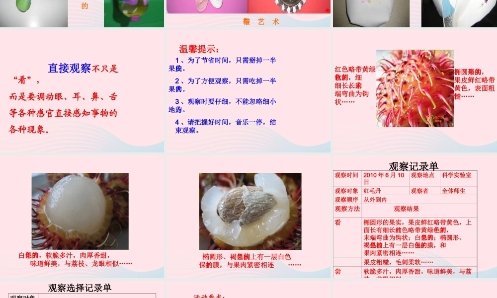 一年级科学上册 第5课《感官总动员》课件（1） 苏教版-苏教版小学一年级上册自然科学课件