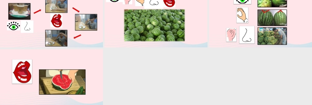 一年级科学上册 第5课《感官总动员》课件（2） 苏教版-苏教版小学一年级上册自然科学课件