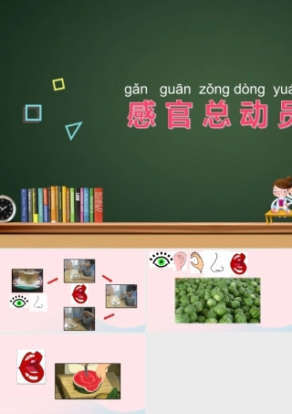 一年级科学上册 第5课《感官总动员》课件（2） 苏教版-苏教版小学一年级上册自然科学课件