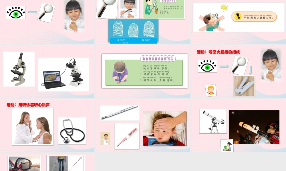 一年级科学上册 第6课《借助工具观察》课件（1） 苏教版-苏教版小学一年级上册自然科学课件